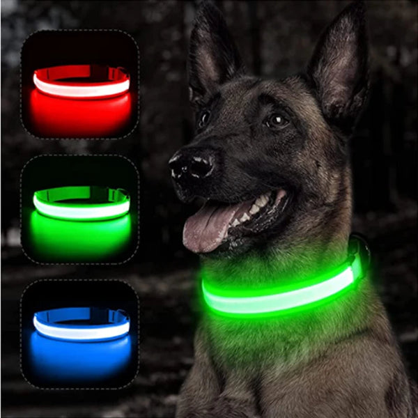 NightSafe LED Dog Collar Pro